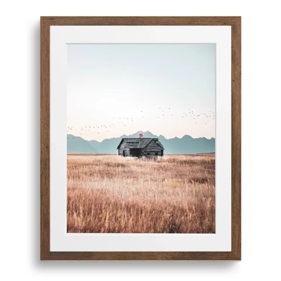 Photography Art