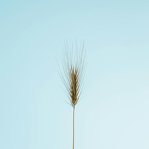 Kind to Earth